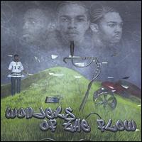 7 Wonders of the Flow von 7th Flow