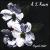 Dogwood Winter von AJ Roach