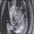 Whirlwind von Jiva