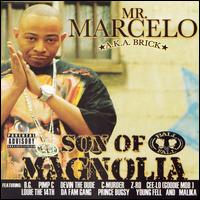 Son of Magnolia von Mr. Marcelo