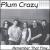 Remember That Time... von Plum Crazy