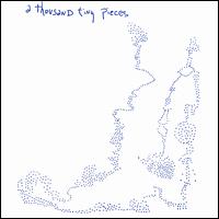 Thousand Tiny Pieces von Sean Hayes