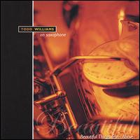 Beautiful Things from Above von Todd Williams