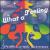 What a Feeling [Radio Edit 3 Tracks] von Peter Luts