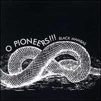 Black Mambas von O Pioneers!!!