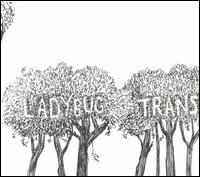 Here Comes the Rain von The Ladybug Transistor
