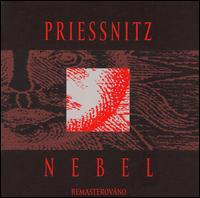 Nebel von Priessnitz