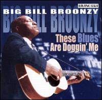 These Blues Are Doggin' Me von Big Bill Broonzy