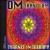 Om Shanti Om [Maxi Single] von The Tyrants in Therapy