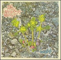 Wait von The Polyphonic Spree