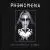 Complete Works von Phenomena
