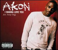 I Wanna Love You von Akon