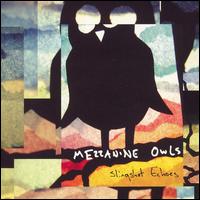 Slingshot Echoes von Mezzanine Owls