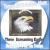 Patriotic Album: Three Screaming Eagles von Tommy Riddle Band