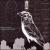 Cinema Deep Crush von Brent Arnold
