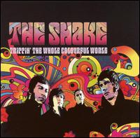 Trippin' the Whole Colourful World von The Shake