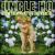 Show Them What You Are Made Of von Uncle Ho