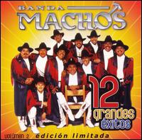 12 Grandes Exitos, Vol. 2 von Banda Machos