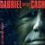 Gabriel Singt Cash von Gunter Gabriel
