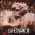No Saints von Liferuiner