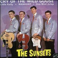 Cry of the Wild Goose von Sunsets