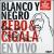 Blance y Negro en Vivo [DVD] von Bebo & Cigala