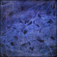 Damad/Meatjack [Split CD] von Damad