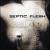 Mystic Places of Dawn von Septic Flesh