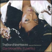 I Don't Know Why I Love You, Pt. 1 von The Brand New Heavies