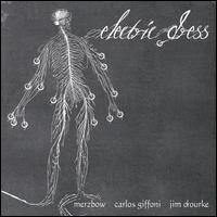 Electric Dress von Merzbow