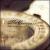 Compass von Alan Ferber