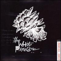 White Pinecone von George Cochrane
