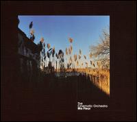 Ma Fleur von The Cinematic Orchestra
