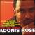 On the Verge von Adonis Rose