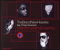 I Don't Know Why I Love You [CD #1] von The Brand New Heavies