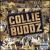 Collie Buddz von Collie Buddz