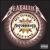 Sgt. Hetfield's Motorbreath Pub Band von Beatallica