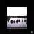 From the Promised Land von Play Dead
