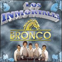 Primer Galope von Bronco