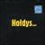 Holdys.com von Zbigniew Holdys