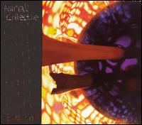 Peacebone von Animal Collective