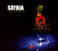 Eyes on the Highway von Saybia