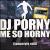 Me So Horny von DJ Porny