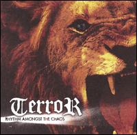 Rhythm Amongst the Chaos von Terror