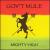 Mighty High von Gov't Mule