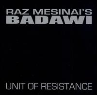 Unit of Resistance von Raz Mesinai