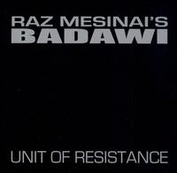 Unit of Resistance von Raz Mesinai