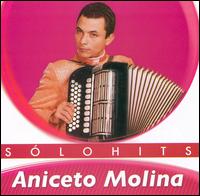 Sólo Hits von Aniceto Molina