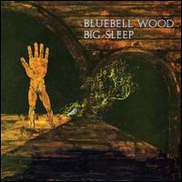 Bluebell Wood von Big Sleep