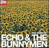 Daily Star Sunday von Echo & the Bunnymen